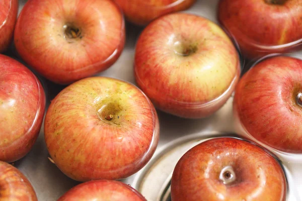 Яблоки в раковине — стоковое фото