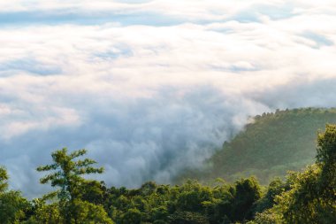Sabah gökyüzü ve sis 
