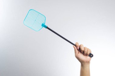 sinek veya böcek sineklik tutan el