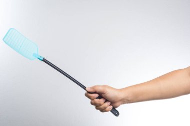 sinek veya böcek sineklik tutan el