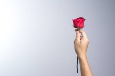 Kırmızı gül çiçek adam yardım