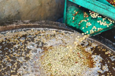 Kırmızı meyveler kahve çekirdeği süreç içinde Fabrika