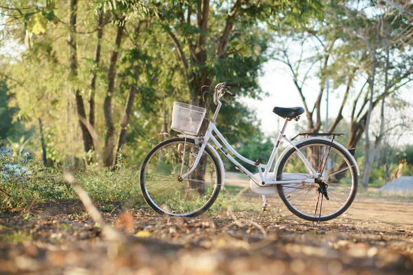 Bicicleta de estilo vintage en otoño camino de temporada en Asia countr —  Fotos de Stock