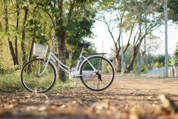 Vintage styl kolo na podzim sezóny road v asijských zemí — Stock fotografie