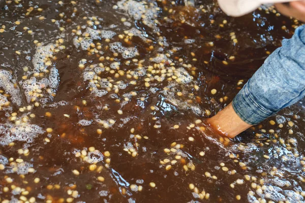 Červené plody kávy bean proces v továrně — Stock fotografie