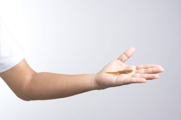 Hand holding house gecko toy