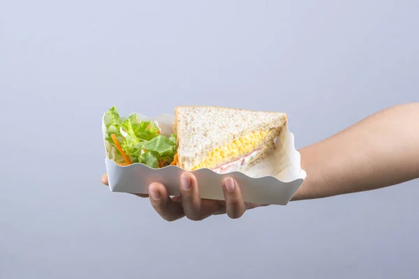 Bütün tahıl ekmeği, taze lezzetli sandviç Ey holding eller — Stok fotoğraf