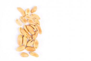 Tuz kavrulmuş fıstık