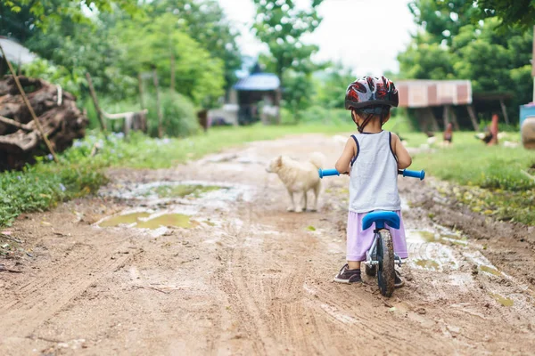 Asyalı çocuk yaklaşık 1 yıl ve 6 ay köpeği ile birlikte kırsal kırsal çamurlu yolda bebek dengesi bisiklet ile oynuyor