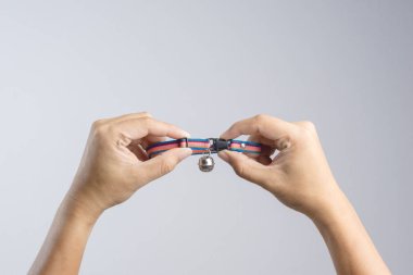 Köpek ve kedi beyaz arka plan üzerinde için bell ile evde beslenen hayvan yaka tutan el