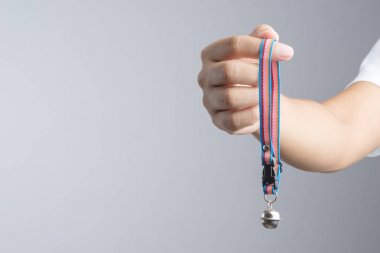 Köpek ve kedi beyaz arka plan üzerinde için bell ile evde beslenen hayvan yaka tutan el