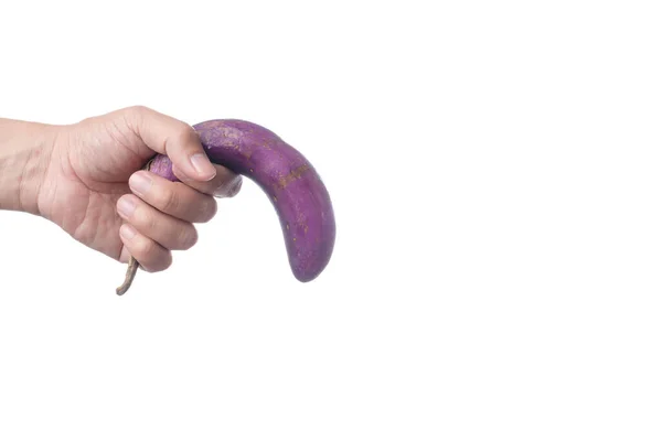 Ręczne trzymając stary fioletowy bakłażan jako symbol dysfuncti seksualnych — Zdjęcie stockowe