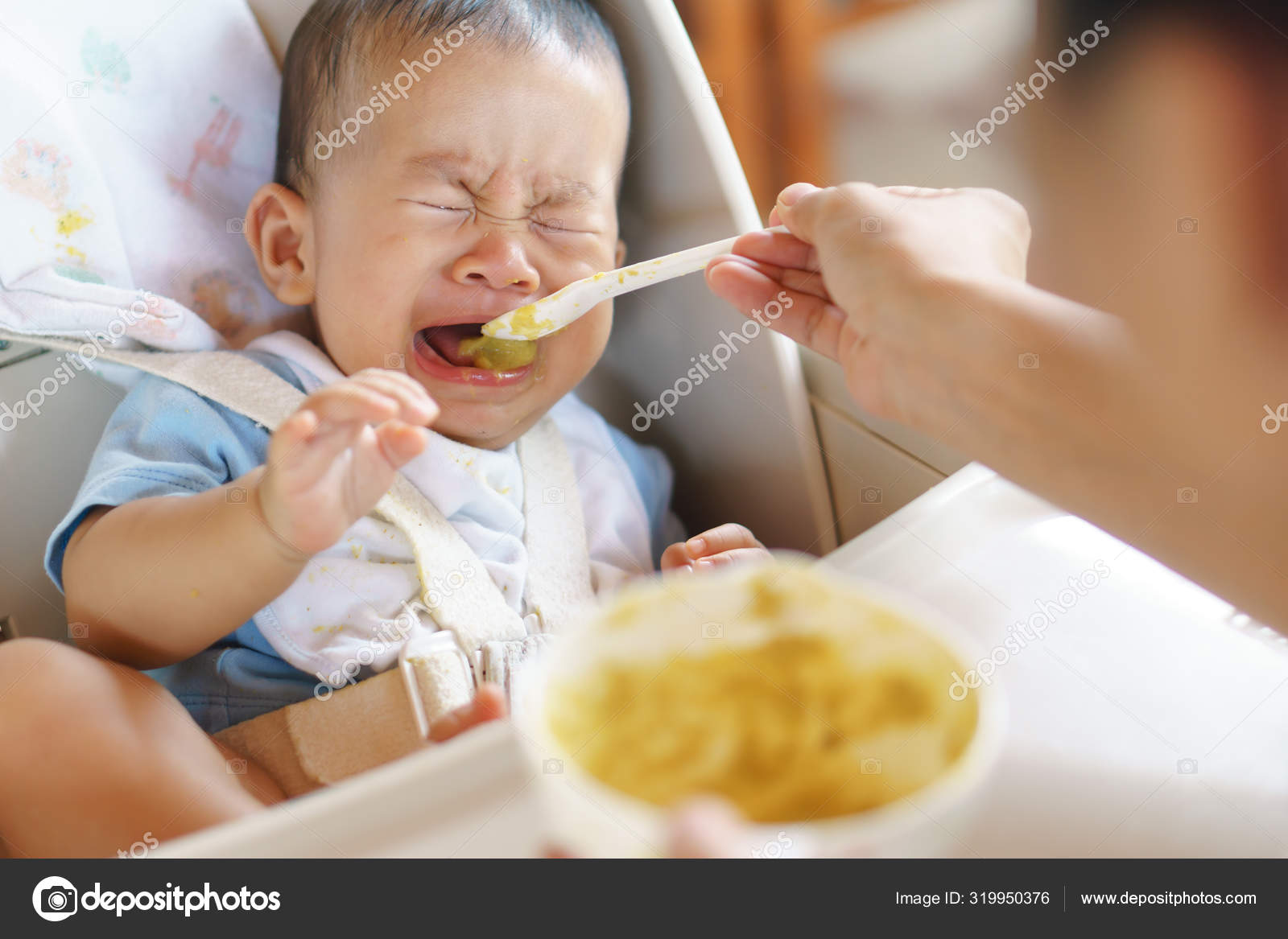 Feeding Schedule Month Old Refusing To Eat Month Old Refusing