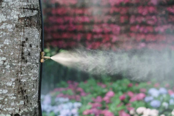 Fog water spray nozzle setup on tree for watering plant