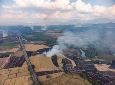 Tarım alanında pirinç kamışı yakıldı.