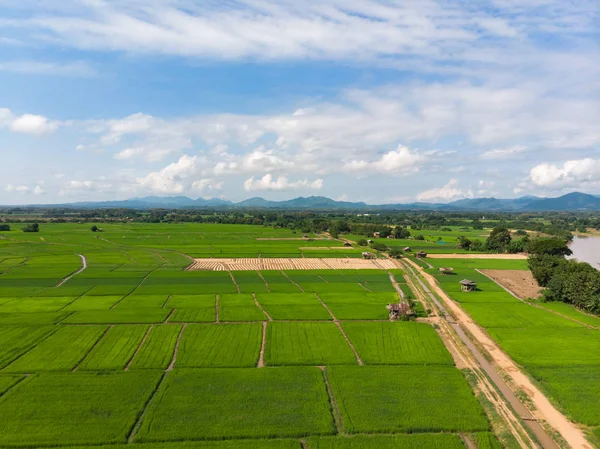 Petani Thailand bekerja di perkebunan kecil atau tanaman perkebunan Stok Gambar