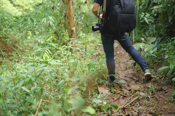 Травелер прогуливается по лесу с фотоаппаратом — стоковое фото