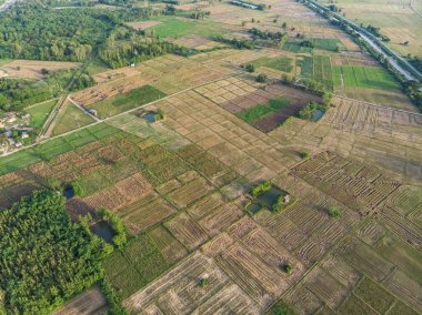 Hasattan sonra boş pirinç tarlası