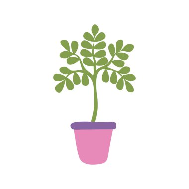 Çiçek saksı ikonundaki bitkiler beyaz arkaplanda izole edilmiş. Grafik ve web tasarımı için karikatür biçiminde Vektör İllüstrasyonu