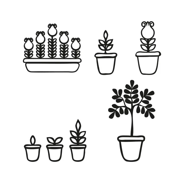 盆栽工期设定 家庭花卉的生命周期 生长阶段 在花盆和花盒中成熟的时期 以涂鸦风格表示的矢量插图 — 图库矢量图片