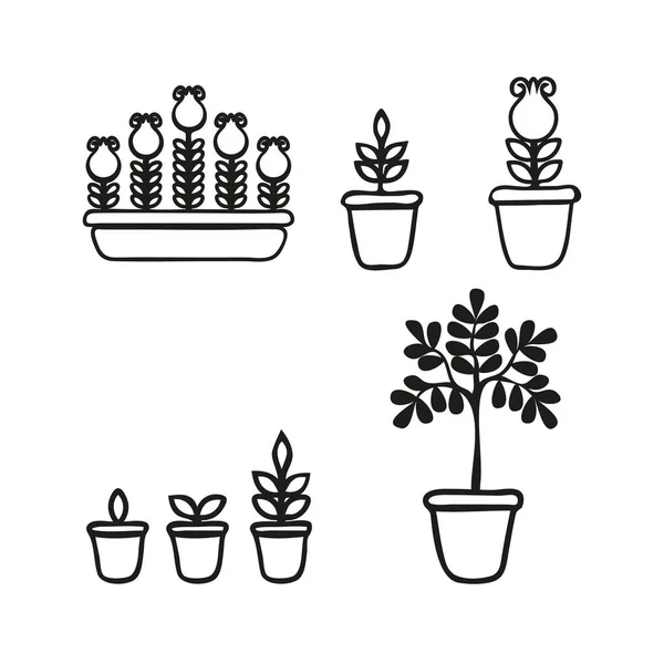 Ensemble Phases Plantes Pot Cycle Vie Des Fleurs Domestiques Stades Vecteur En Vente