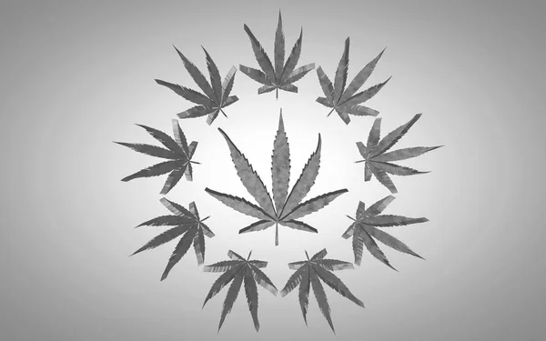 Marihuana 3d illustration. Stort blad i en cirkel af små blade. På grå baggrund med svag vignet. Sort og hvid effekt - Stock-foto