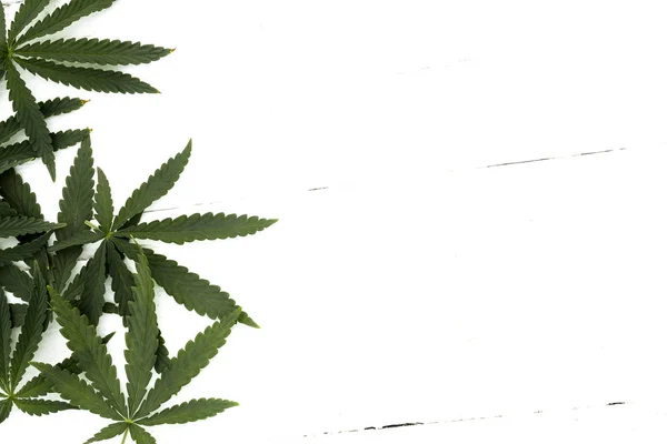 Cannabis zes blad — Stockfoto