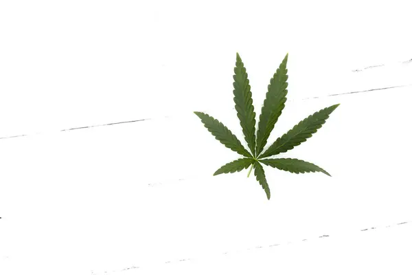 Cannabis une feuille — Photo