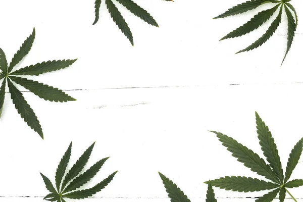 Cannabis sechsblättrig — Stockfoto