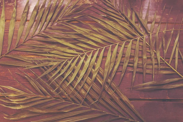 Hojas de palma sobre una superficie de madera — Foto de Stock