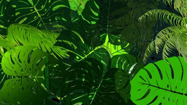 Monstera Blätter Muster 3D Render — Stockfoto