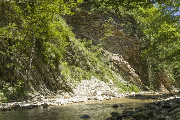 Ruisseau de montagne dans la forêt — Photo