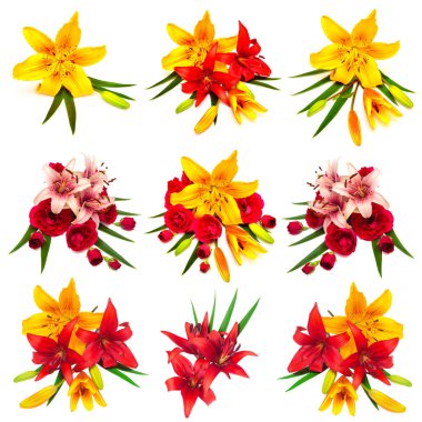 Çiçek gül ve lilyum topluluğu 