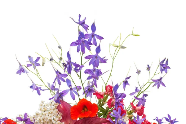 Schöne Blüten Lilien, Schafgarbe und Kapuzinerkresse — Stockfoto