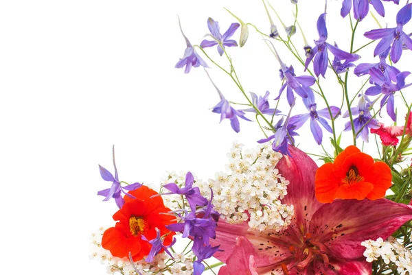 Beautiful flowers lilies, yarrow and nasturtium — Stock Photo, Image