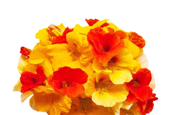 橙色旱金莲的花束 — 图库照片