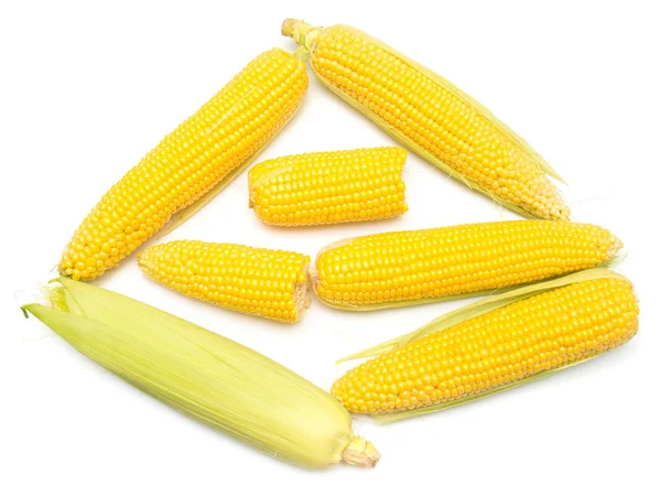 Collection of yellow corn — Stock Photo, Image