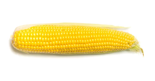 One corn isolated — Stock Photo, Image