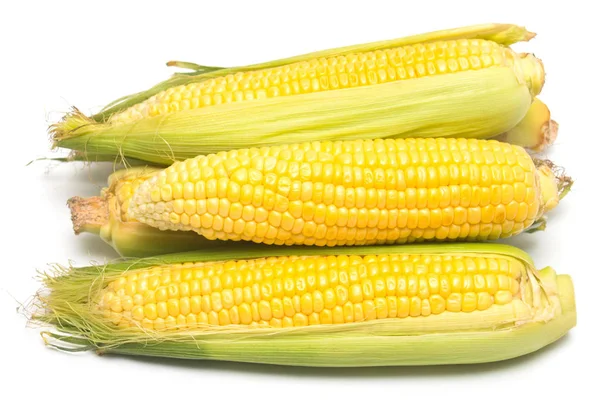 Collection of ripe corn — Stock Photo, Image