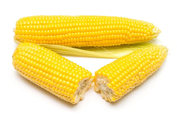 Ripe yellow corn — Stock Photo, Image