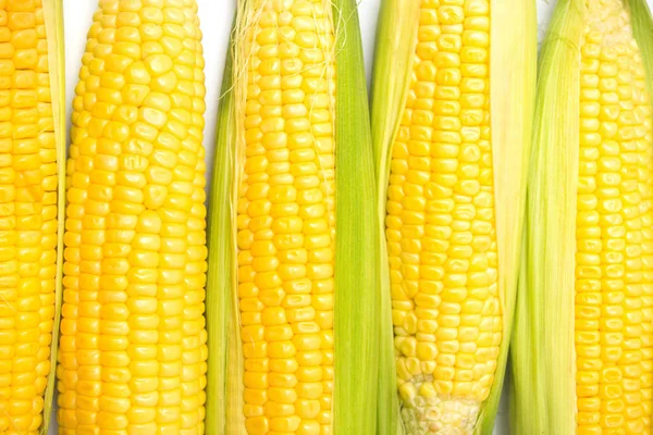 Rijpe gele maïs macro — Stockfoto