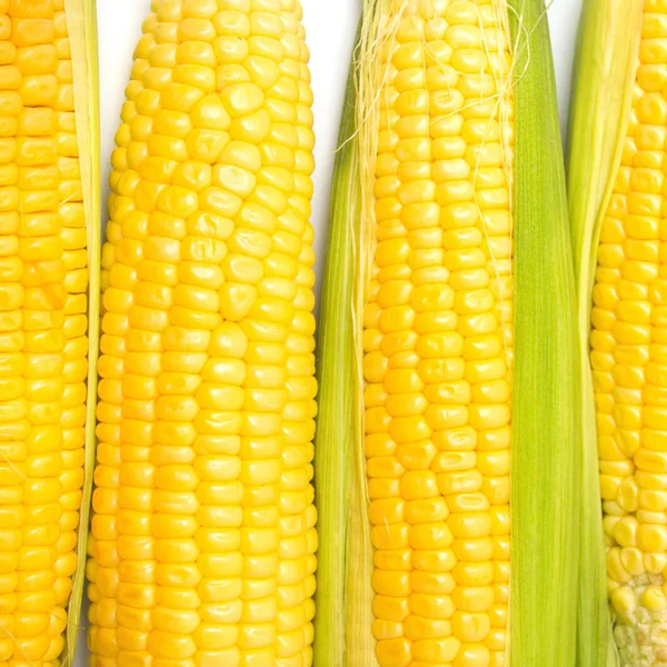 Rijpe gele maïs macro — Stockfoto