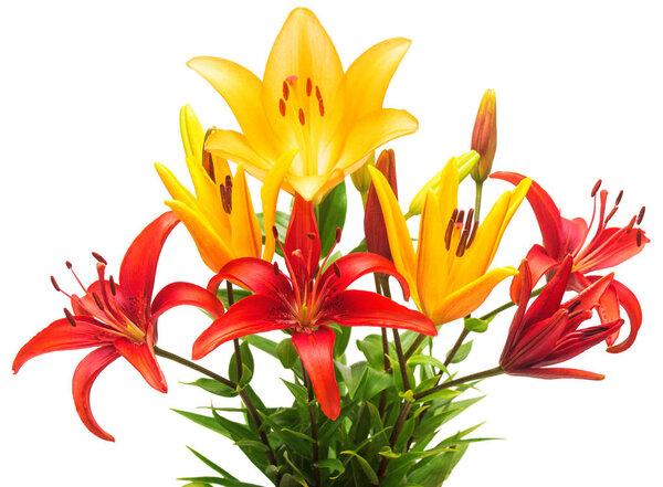 Beautiful bouquet of lily flowers 