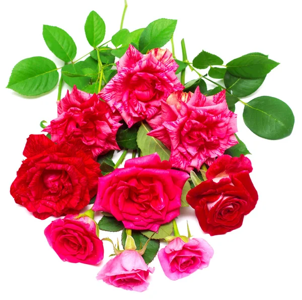 Güzel bir buket kırmızı çiçek — Stok fotoğraf