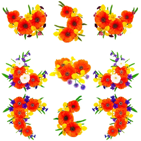 集合罂粟花、 虹膜、 牵牛花 — 图库照片