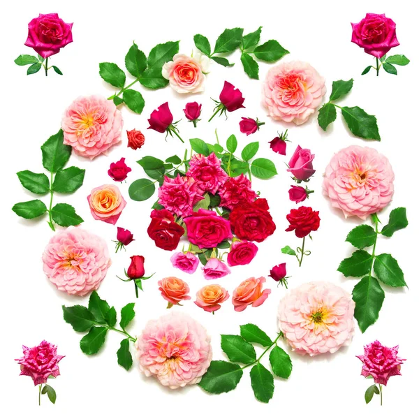 Grinalda com folhas e flores de rosas rosa — Fotografia de Stock