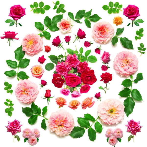 Grinalda com folhas e flores de rosas rosa — Fotografia de Stock