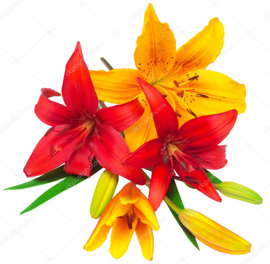 Bouquet of Lilies red and yellow flowers 