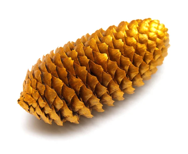 Cone de abeto dourado isolado sobre fundo branco. Deitado plano, vista superior — Fotografia de Stock