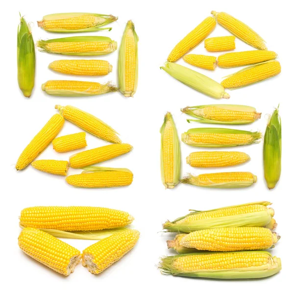 Corn with skin or without skin isolated on white background. A c — Stock Photo, Image